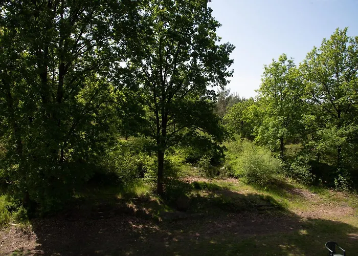 Heideparadies